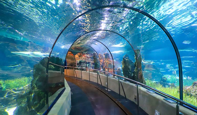 barcelona attractions aquarium