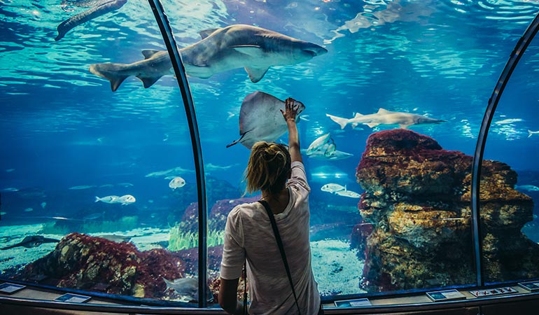 europe with kids barcelona aquarium 