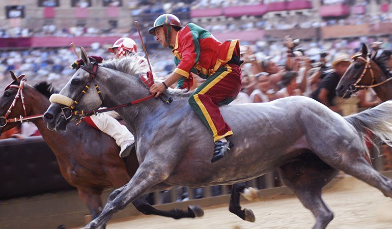 palio di siena horse race 
