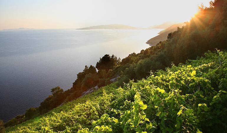 what to see in Croatia peljesac penisula 