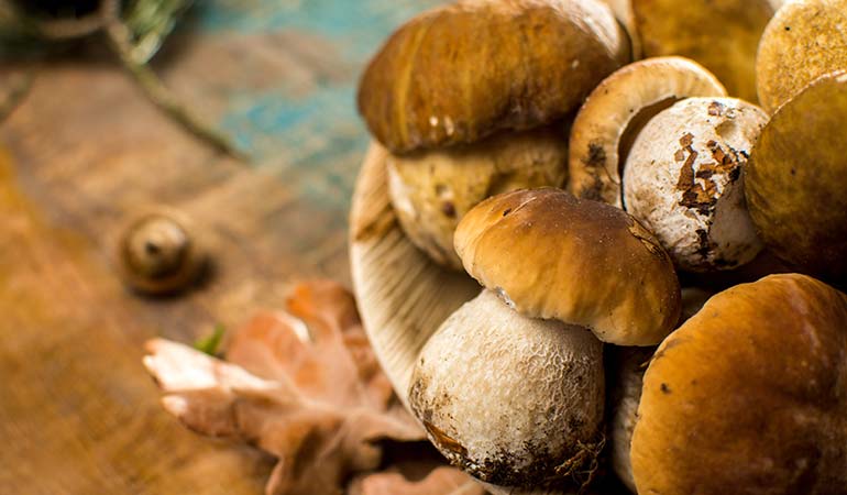 tuscany food festival Steak and Porcini certaldo
