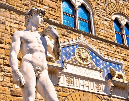 Statue of David Face