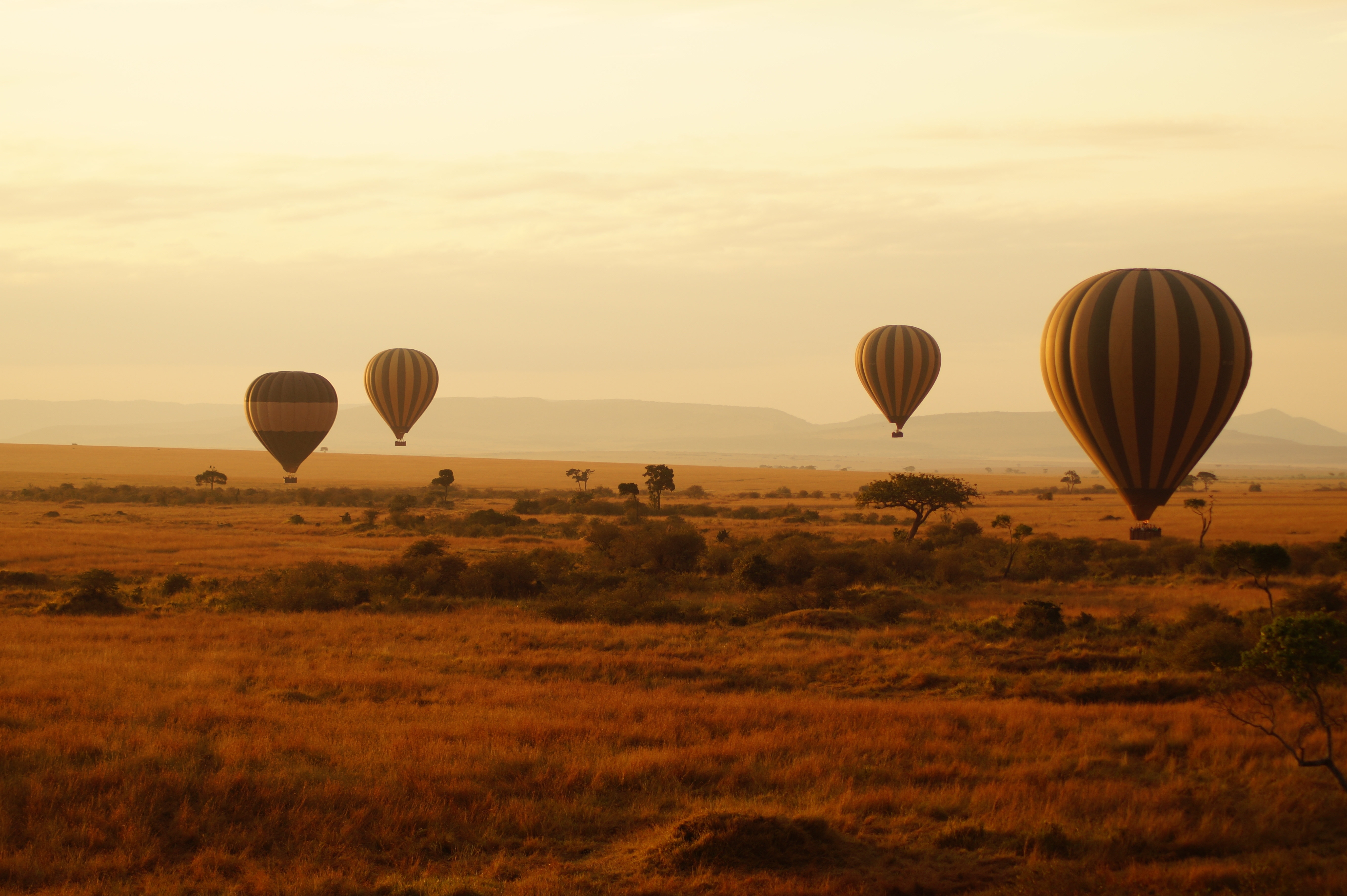 Maasai Mara Safari
