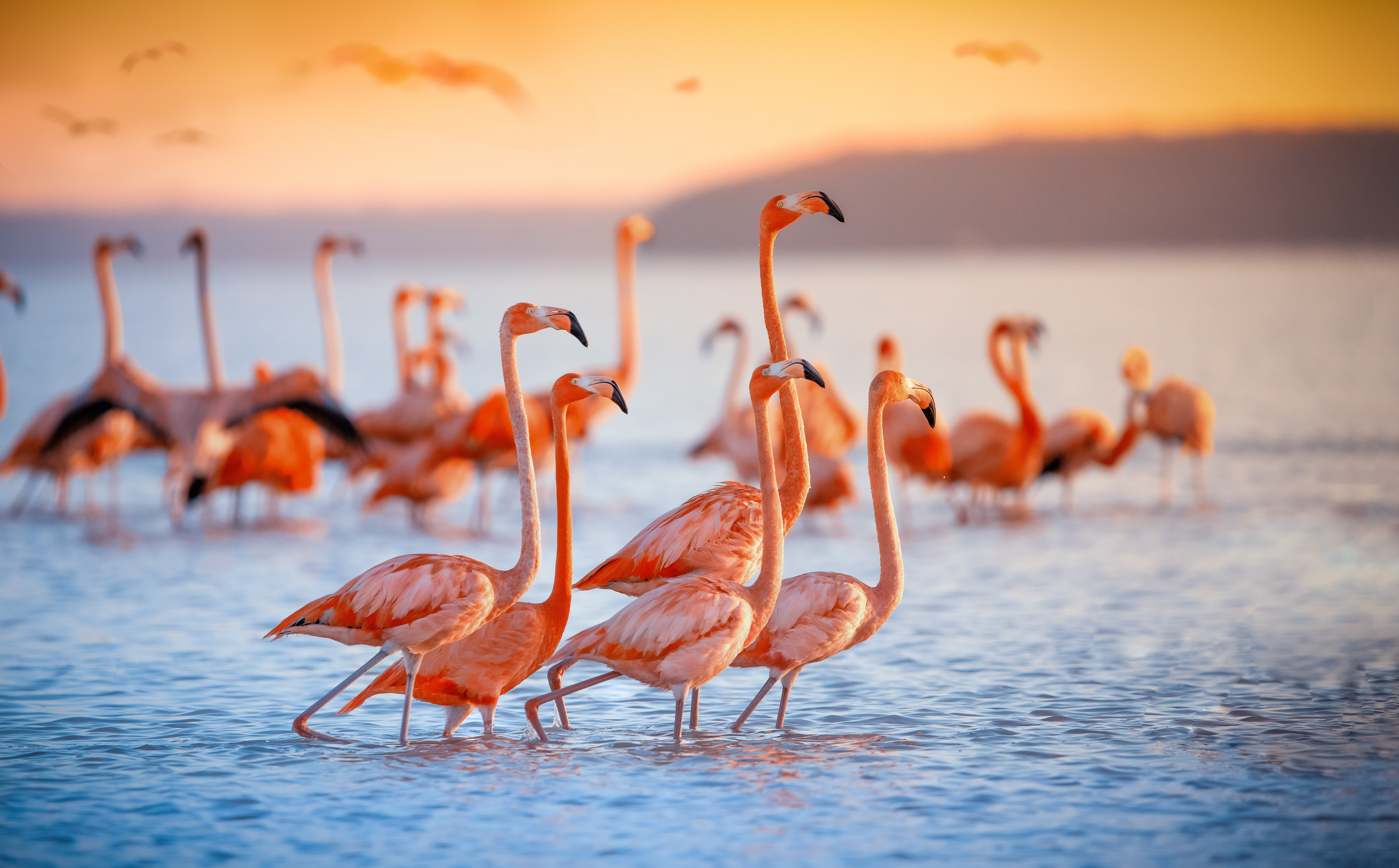 Lake Nakuru Boat Ride