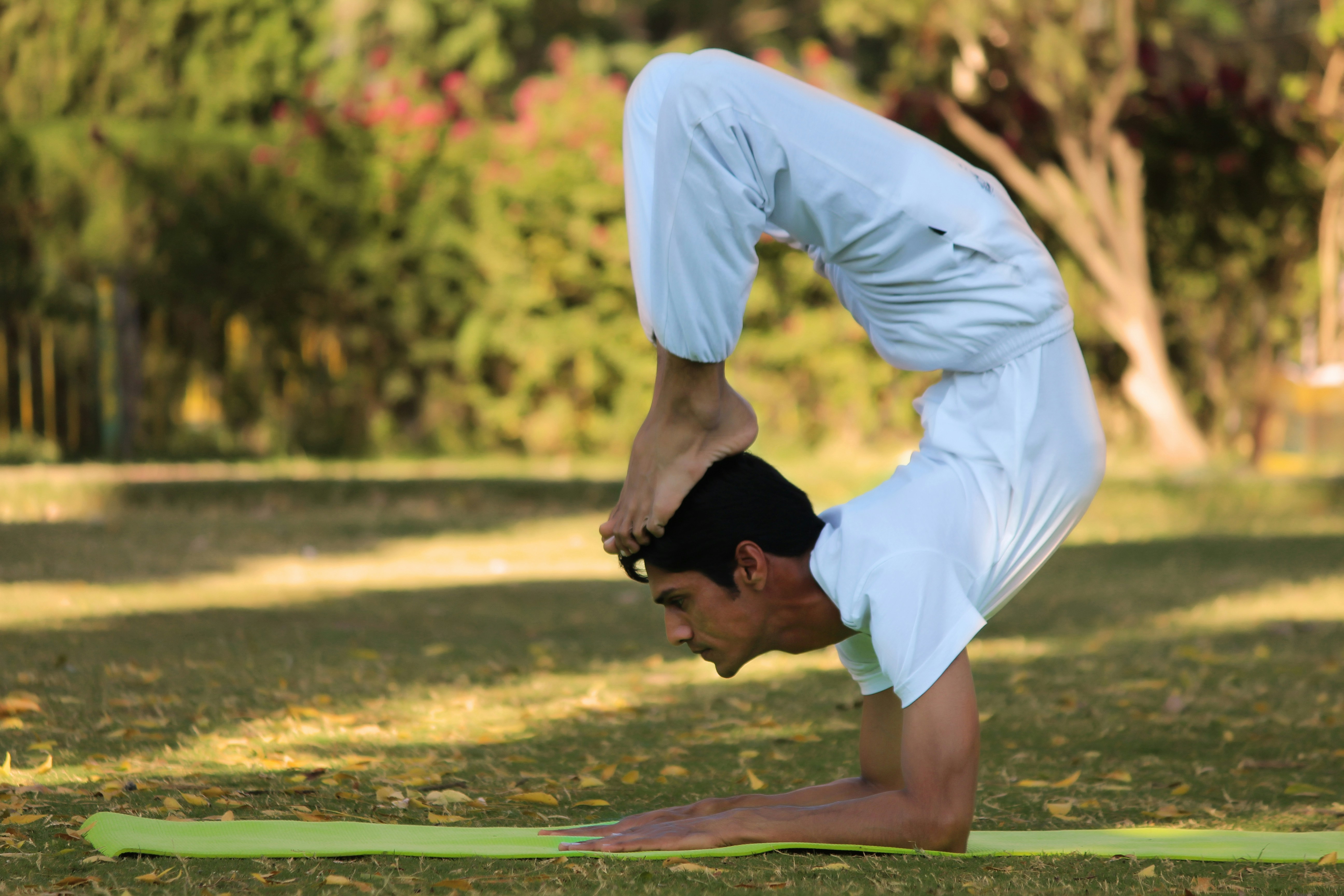 The Birthplace of Yoga