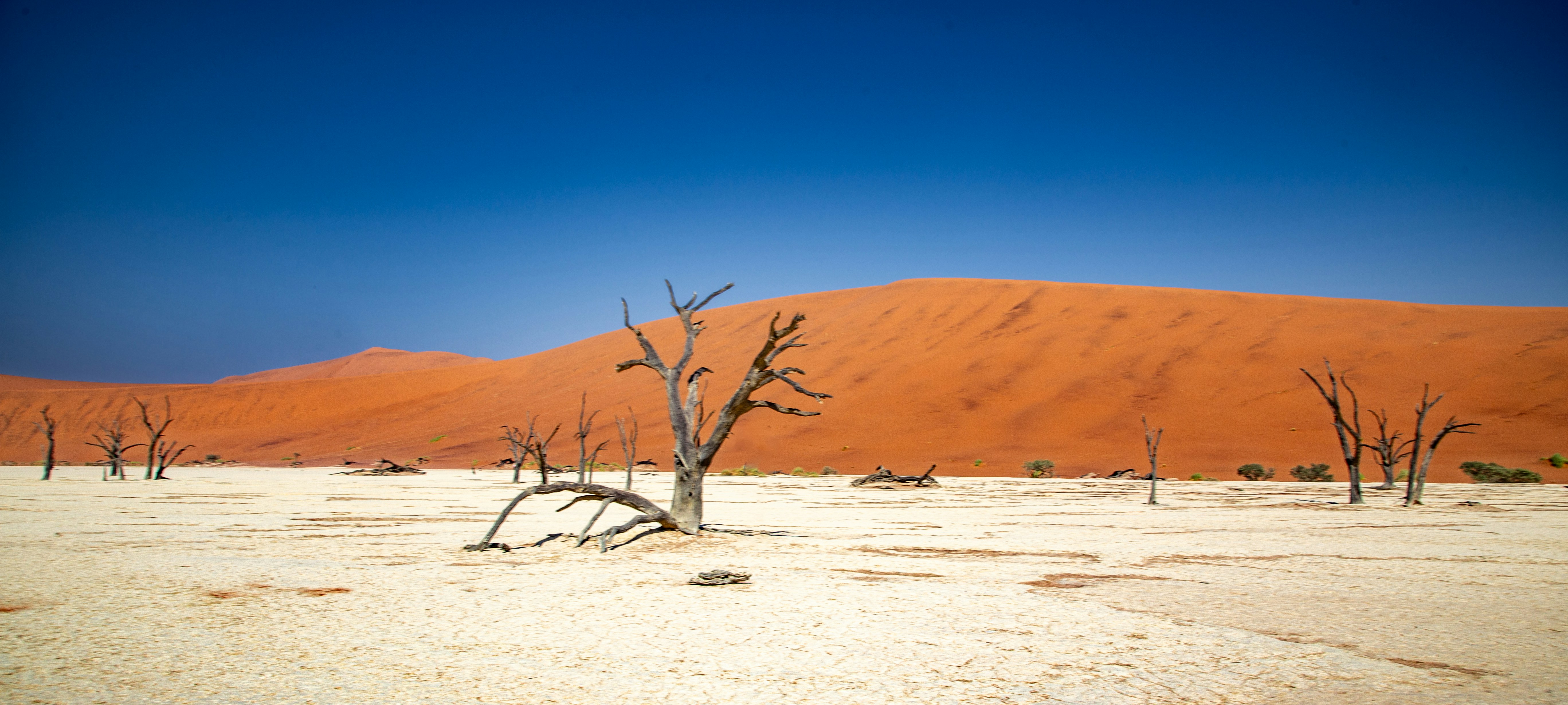 The Red Dunes in Sossusvlei