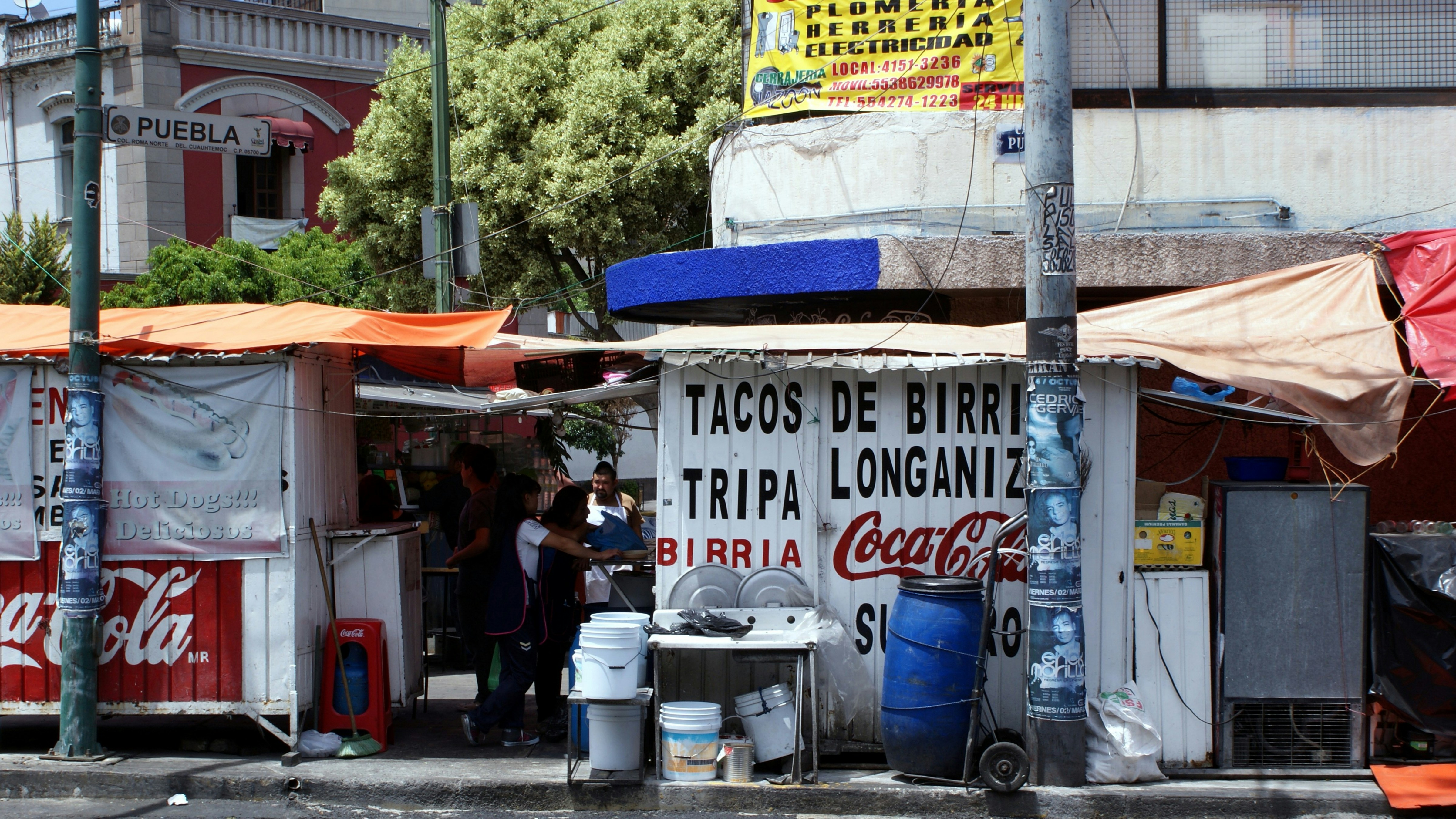 The Cuisine