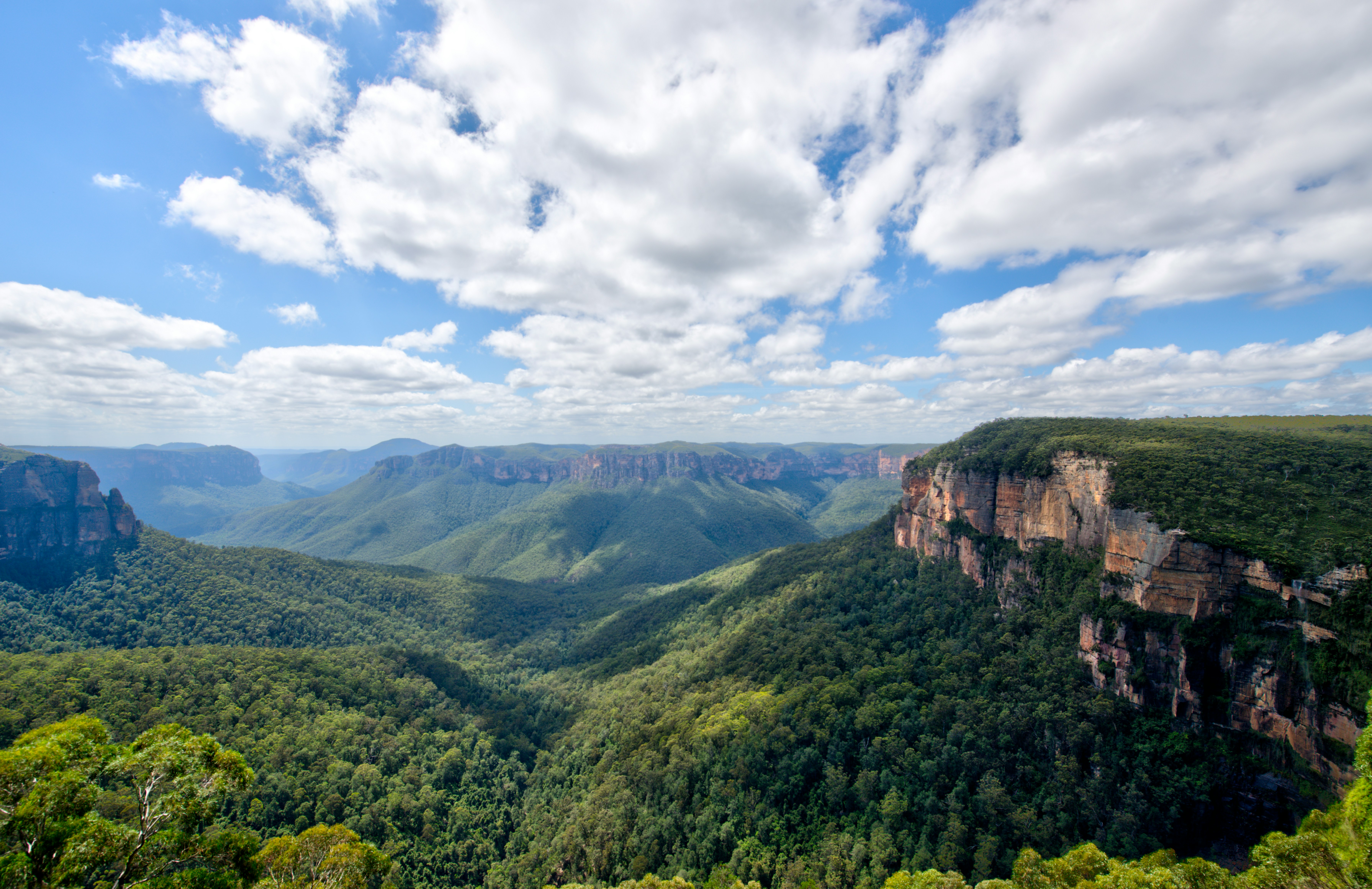 Hiking or Camping in the Blue Mountains 