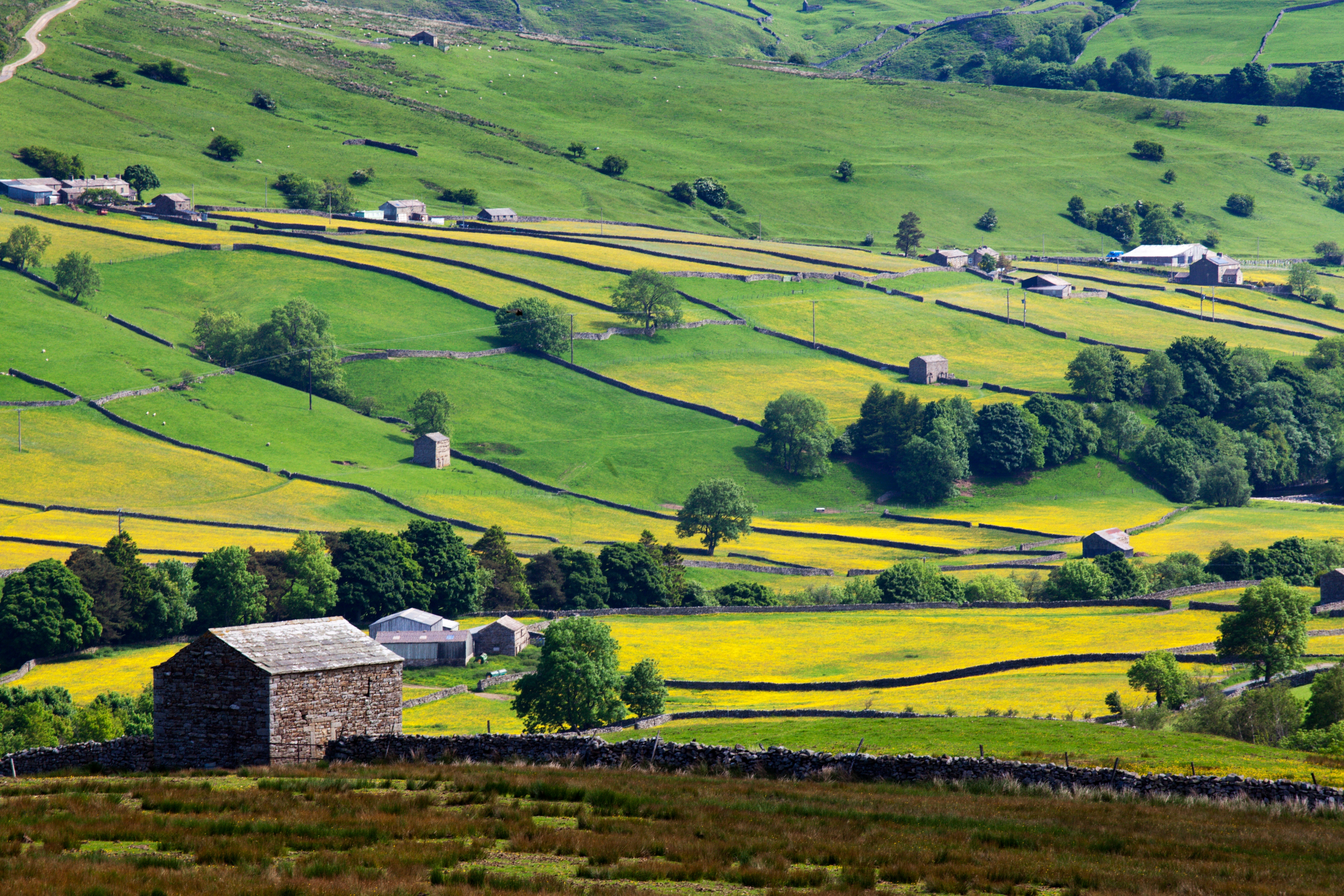 Swaledale in summer from Askrigg High Road near Muker, Yorkshire Dales, Yorkshire, England