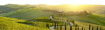 things to do in chianti