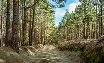 what to do in San Cristobal de la Laguna