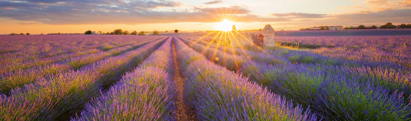 things to do in Provence-Alpes-Côte d'Azur