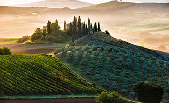 Countryside