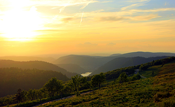 Diverse Natural Parks