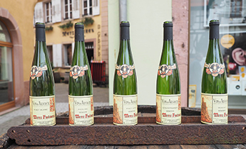 what to do in Colmar wine tour