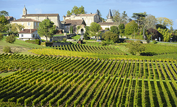 Viticulture & Cuisine