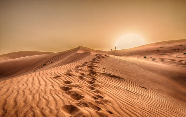 Desert Landscapes