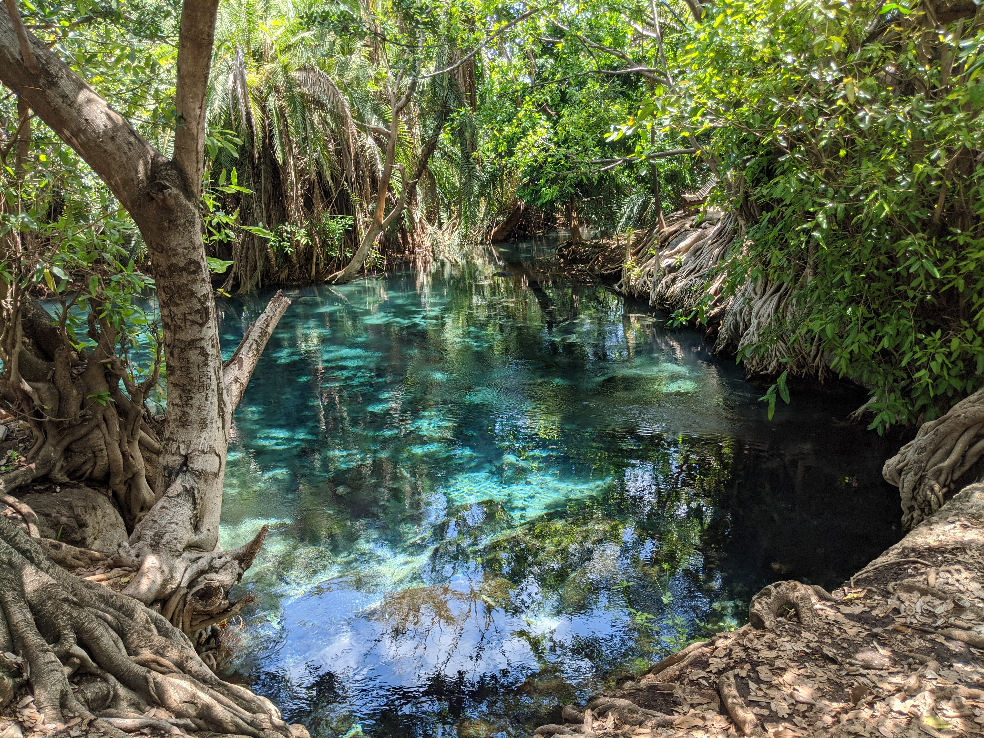 Hot Springs, Waterfall and Coffee Farms