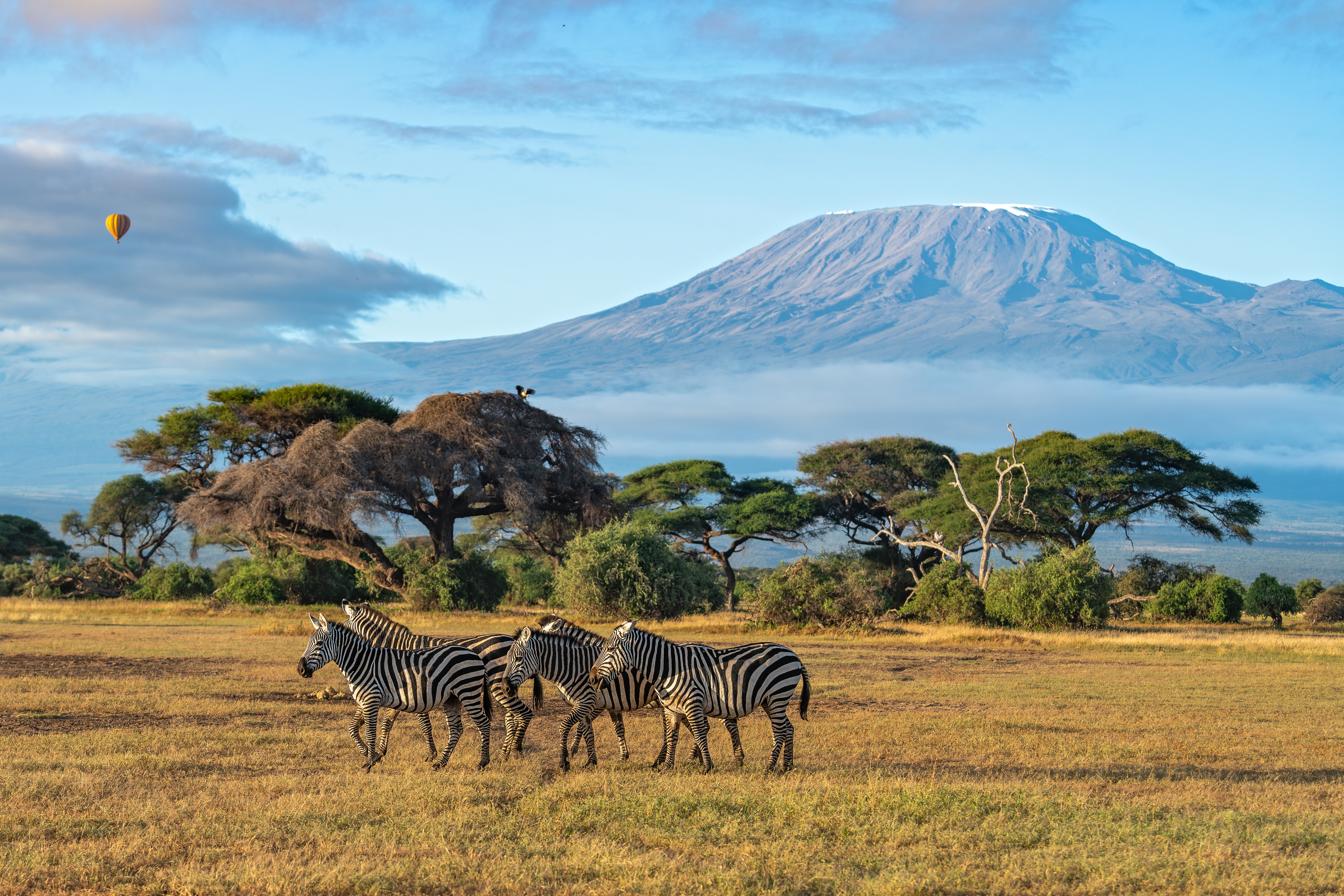 Kilimanjaro Village Walk and Tour