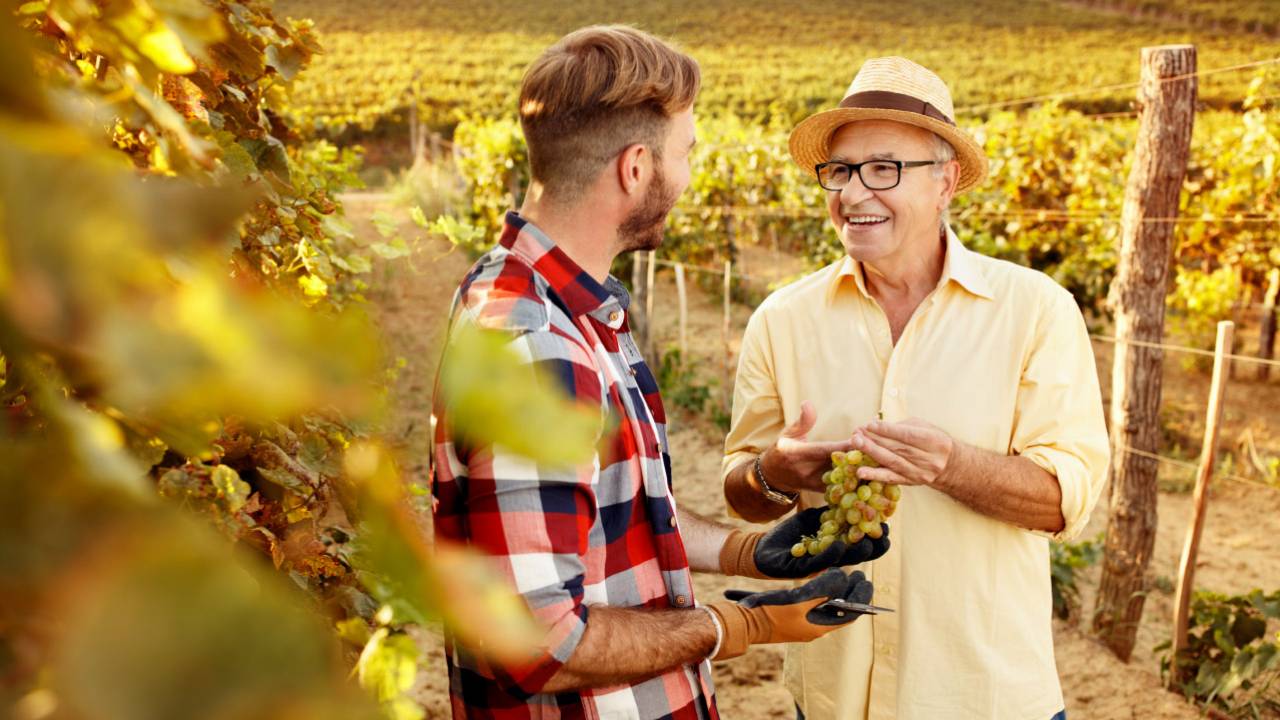 Florence wine tours to chianti vineyards