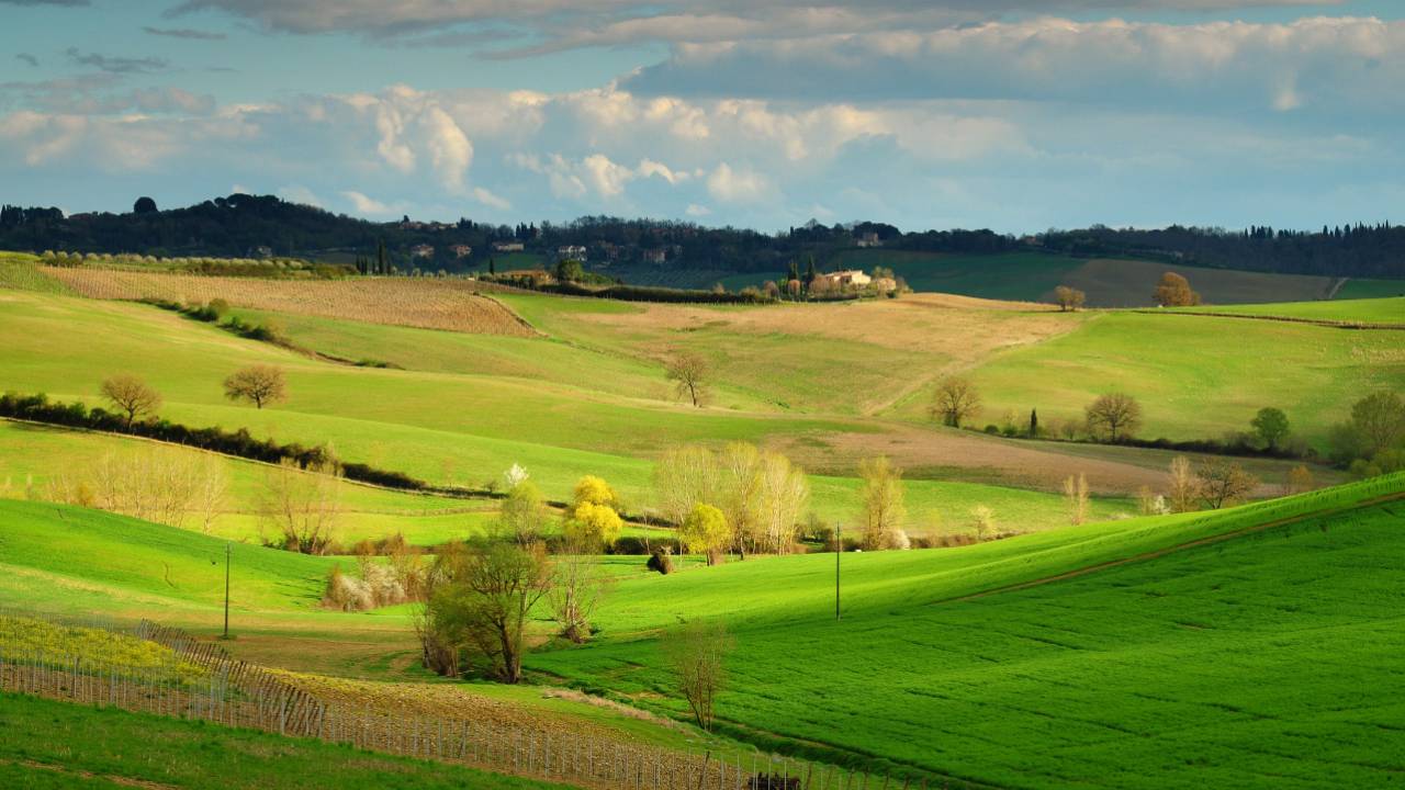Amazing view by chianti wine tour