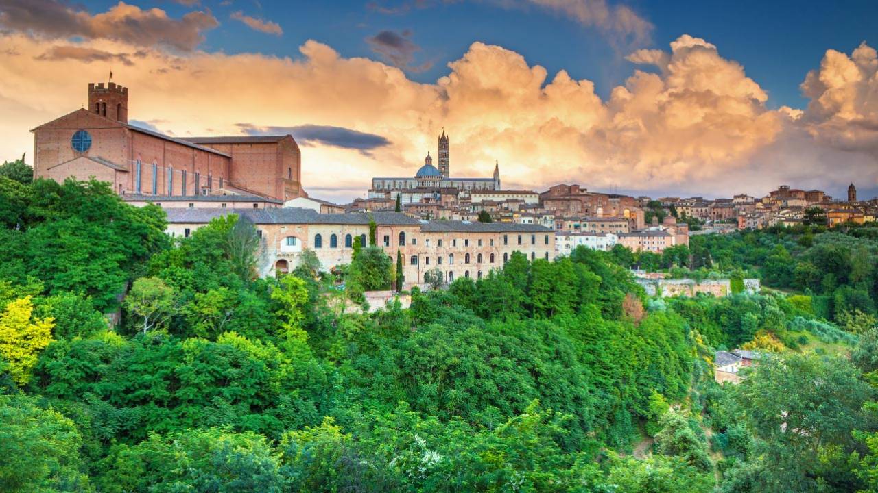 Horse riding Tuscany