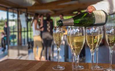 Champagne Estate Day-Trip from Paris