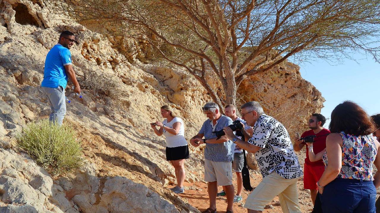 Fossil and Red Dunes Camel Rock Safari