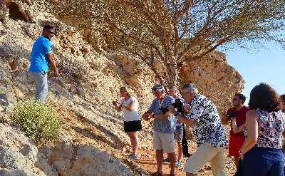 Fossil and Red Dunes Camel Rock Safari