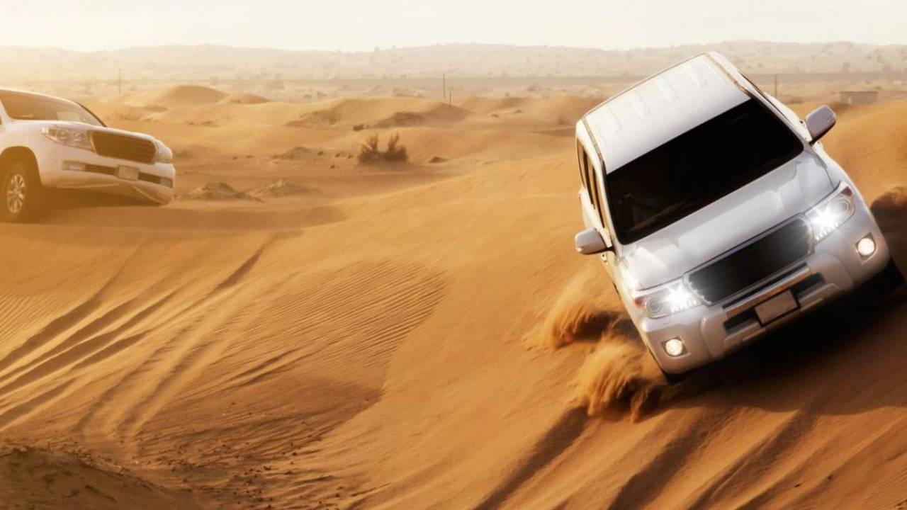 Abu Dhabi Morning Desert Safari