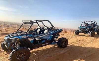 polaris buggy
