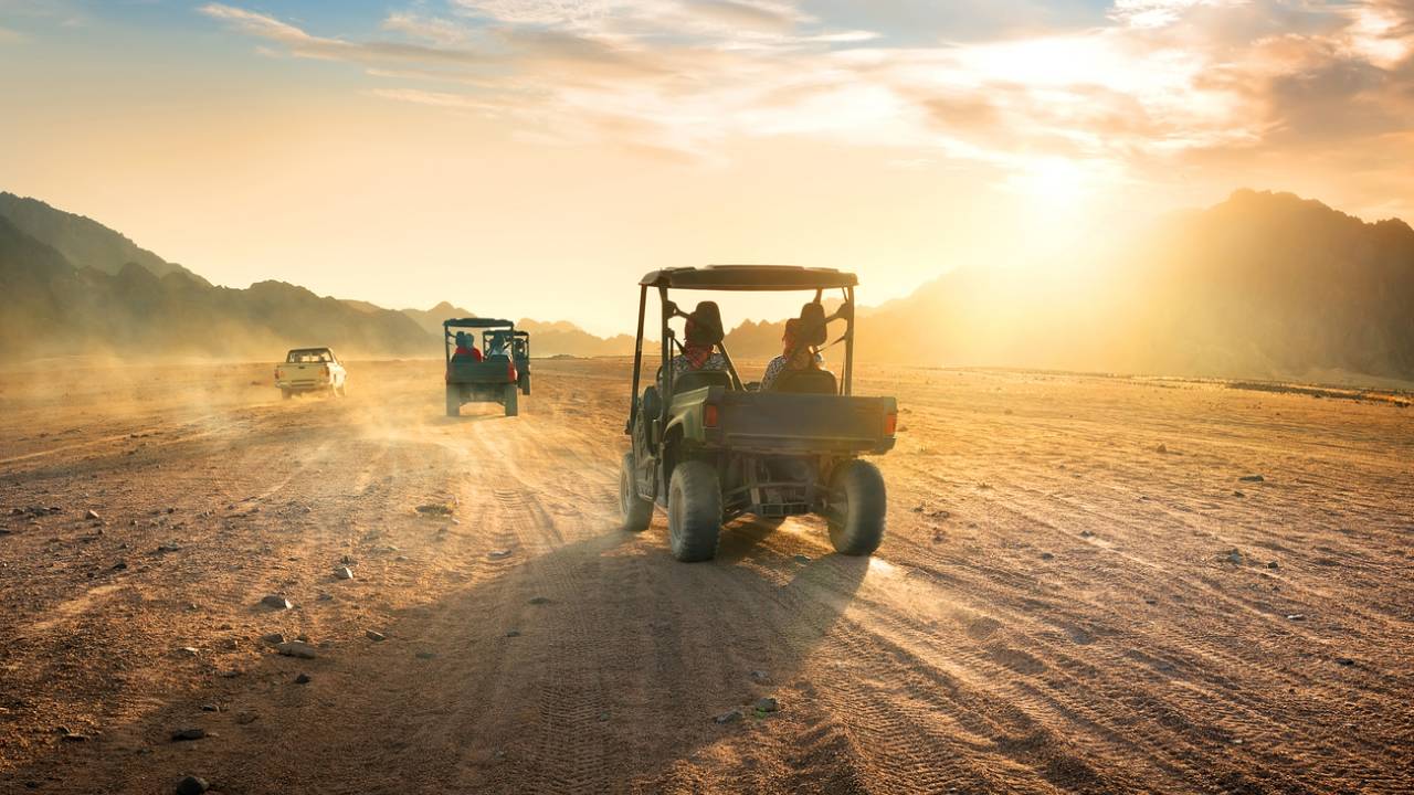 Morning Mojo Buggy Tour