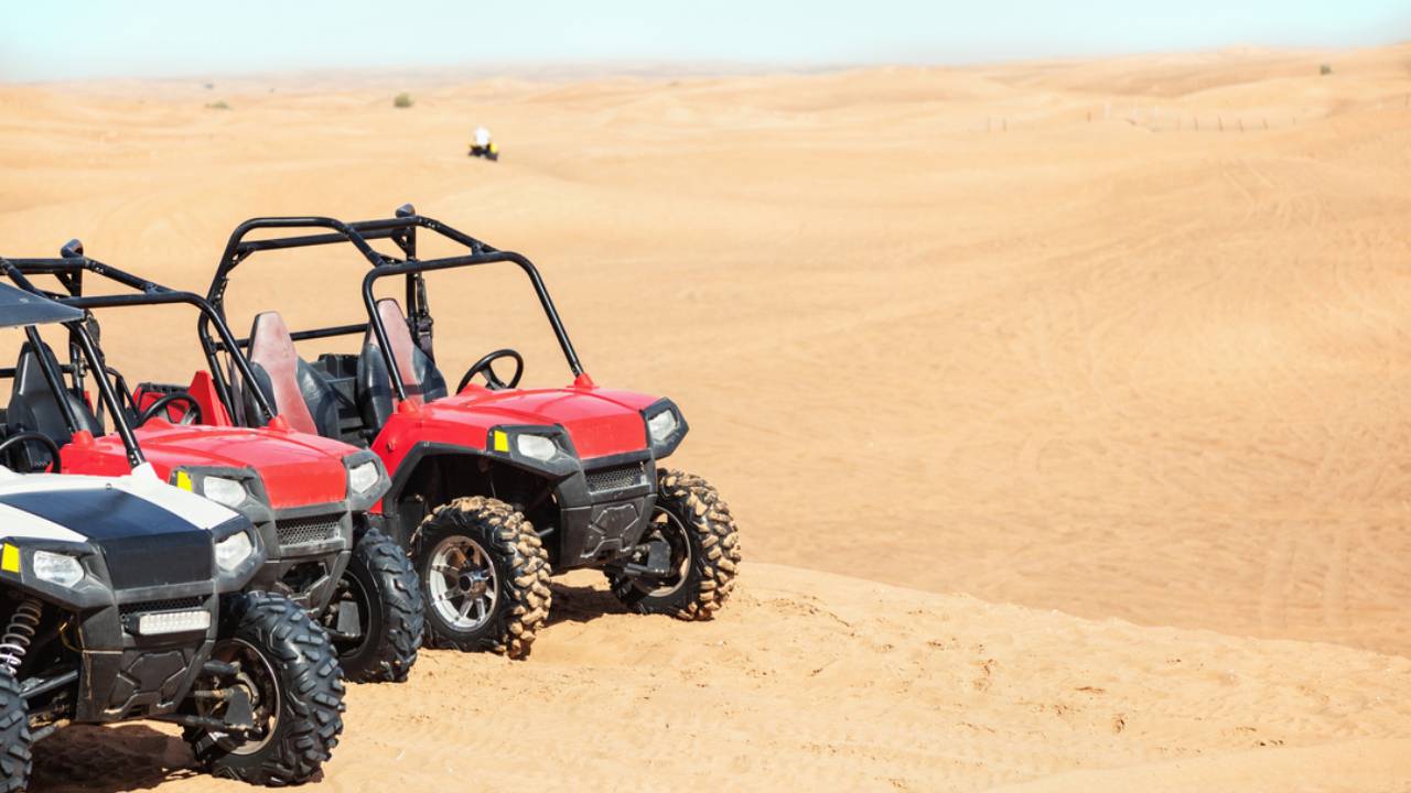 Morning Mojo Buggy Tour