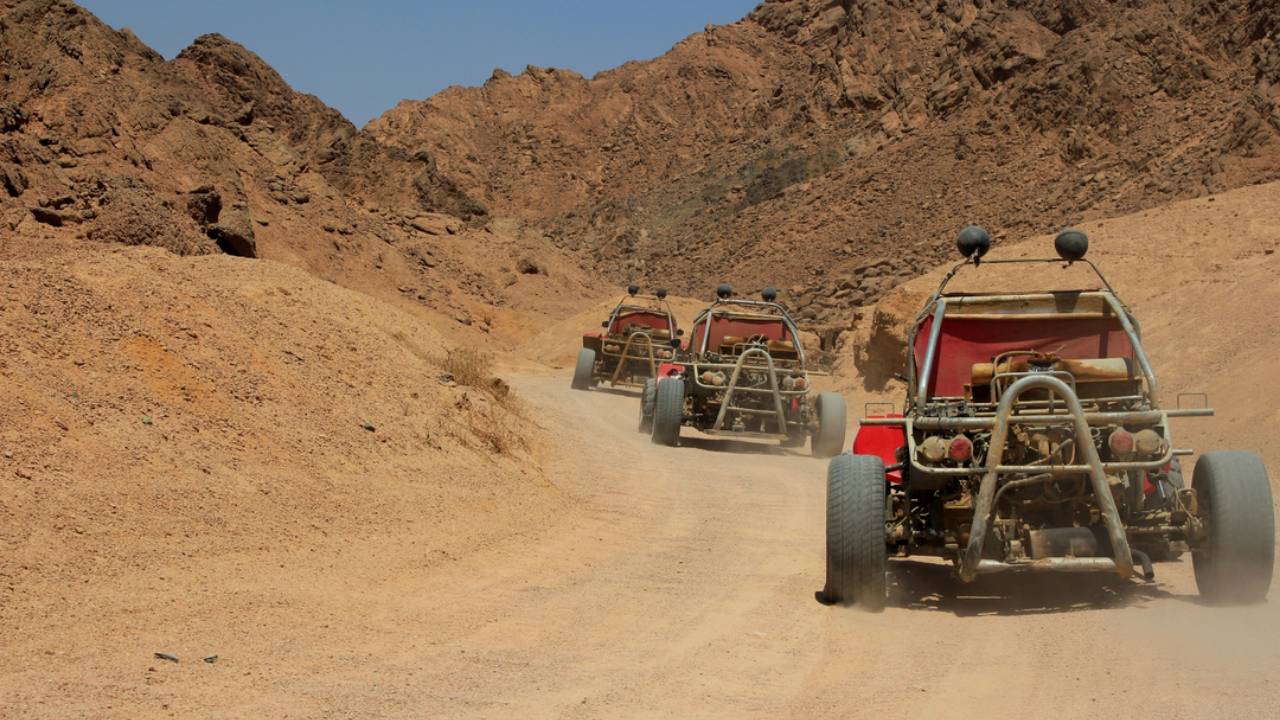 Morning Mojo Buggy Tour