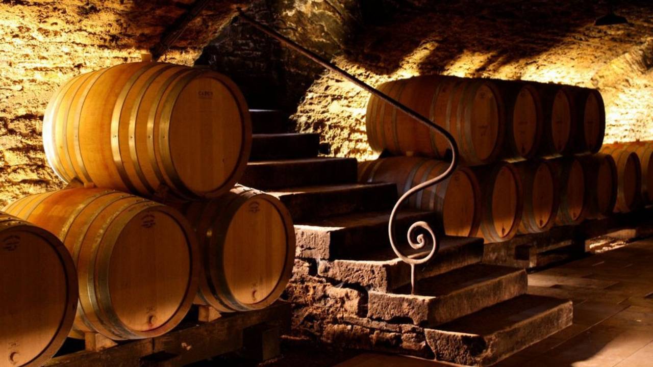 burgundy wine tasting tours