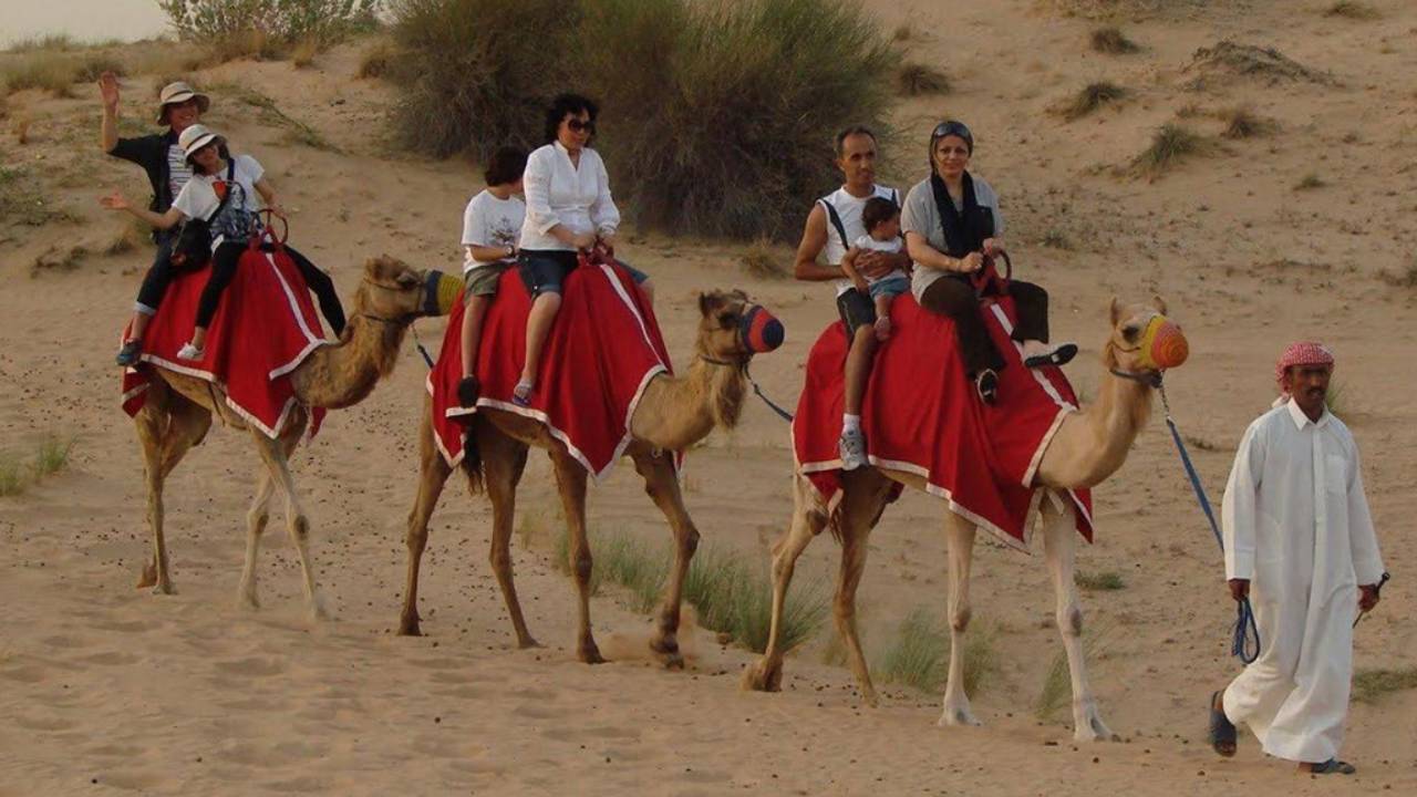 Camel ride