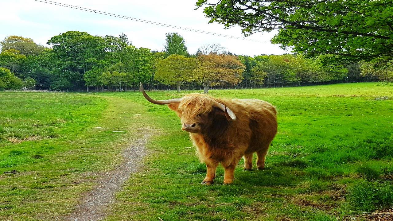 7 Days Tour of Scotland from Edinburgh or Glasgow