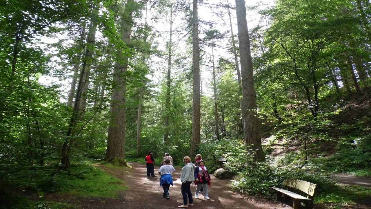 Harry Potter Bridge Day Tour from Edinburgh