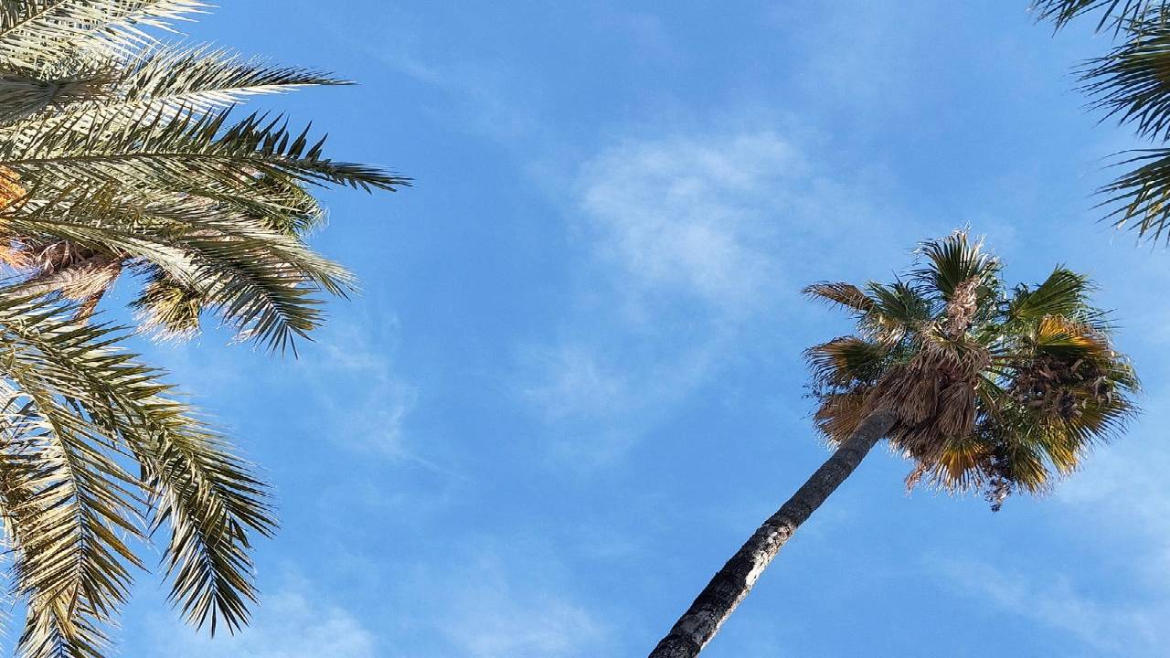 Barcelona: interactive discovery walk through Barceloneta