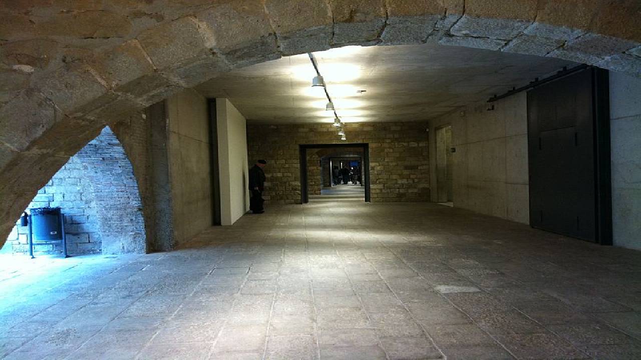 Guided tour in Picasso Museum in English. Fast access