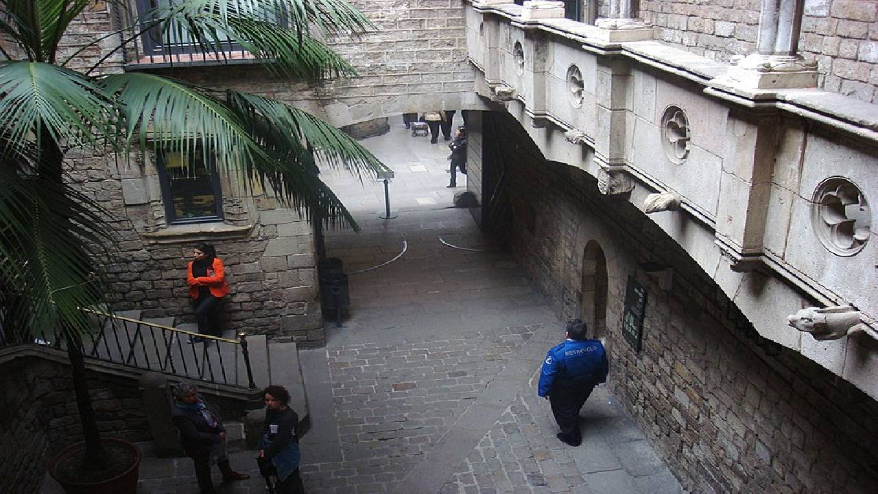 Guided tour in Picasso Museum in English. Fast access