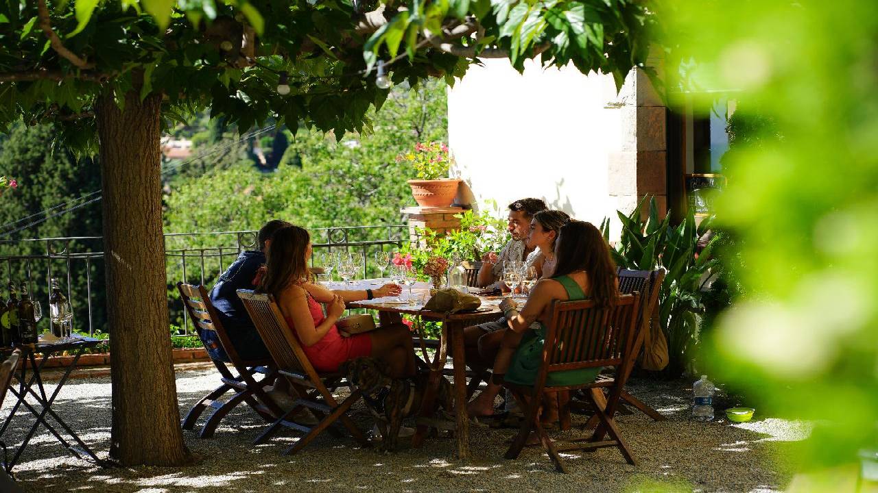 Sailing Experience, Vineyard Tour & Wine Tasting and Car Transportation back to Barcelona