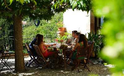 E-bike, Vineyard Tour & Wine Tasting, Sailing Experience back to Barcelona