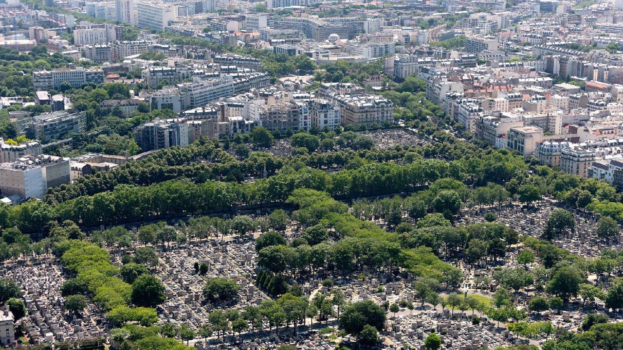 Montparnasse Walking Tour & Rooftop Paris Views