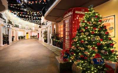 The Christmas Lights and Bites Tour