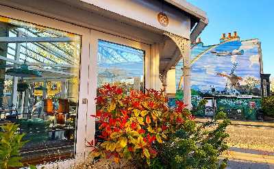 Discovery walk in London’s Peckham: Arty Adventure & Multicultural Mystery