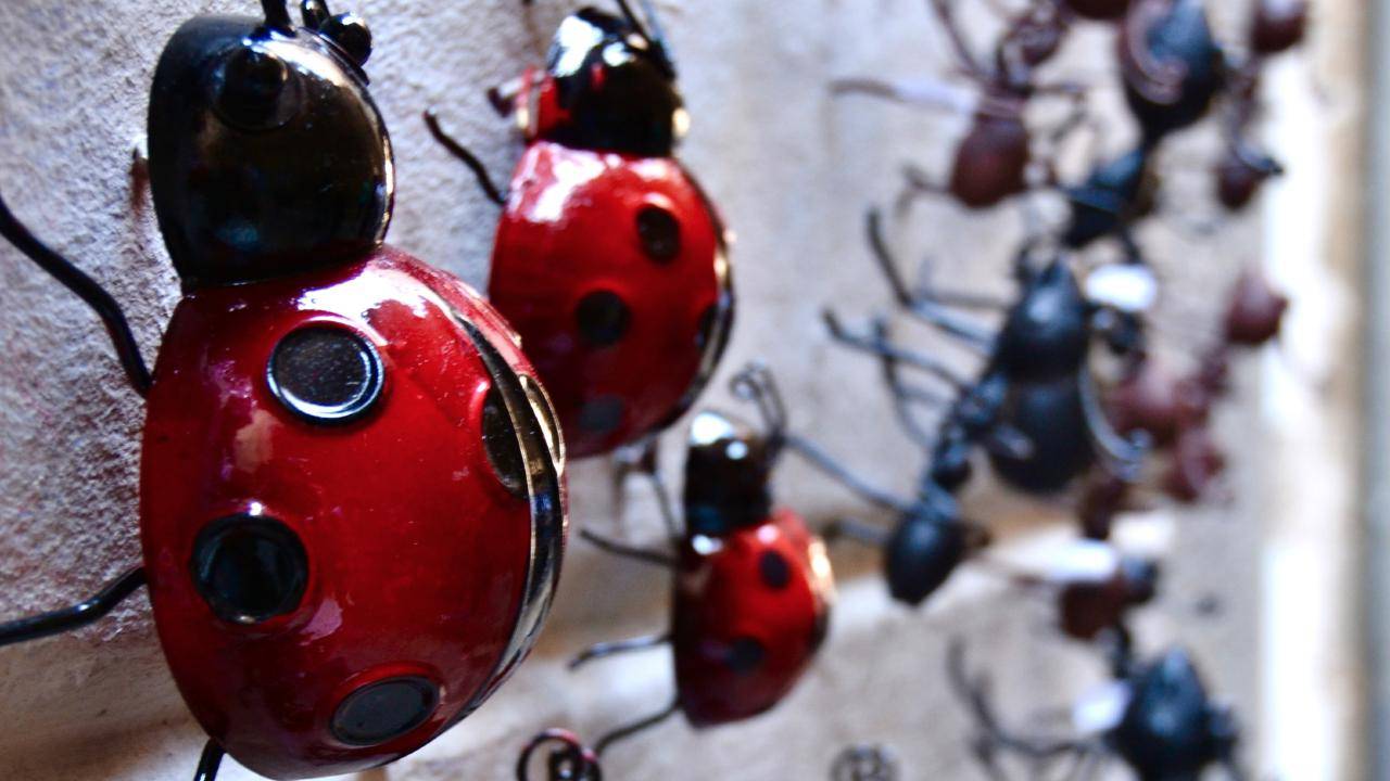 Discovery Walk: Barcelona’s Ciutat Vella - secret alleys and ruins