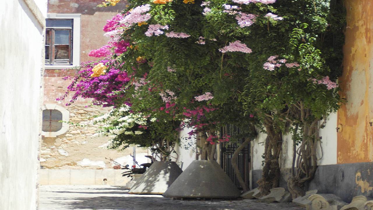 Self-guided discovery walk Faro: a journey of history, nature and breathtaking scenery