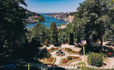 Discovery Walk in Porto’s Jardins do Palacio de Cristal: fairytale views and better conversations