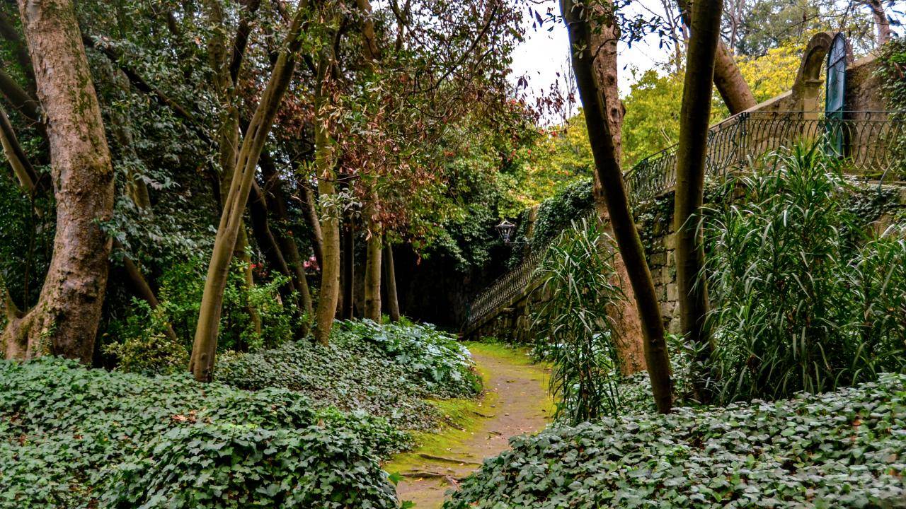 Discovery Walk in Porto’s Jardins do Palacio de Cristal: fairytale views and better conversations
